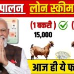 Bakri Palan Business Loan